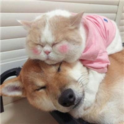 ดิว จิรวรรตน์ profile picture