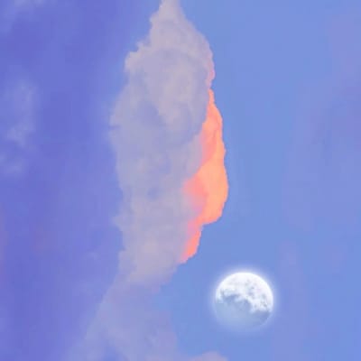 คริส พีรวัส profile picture